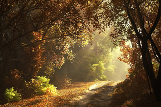 Illustration for article titled 23 paisajes fotorrealistas que son en realidad renders 3D